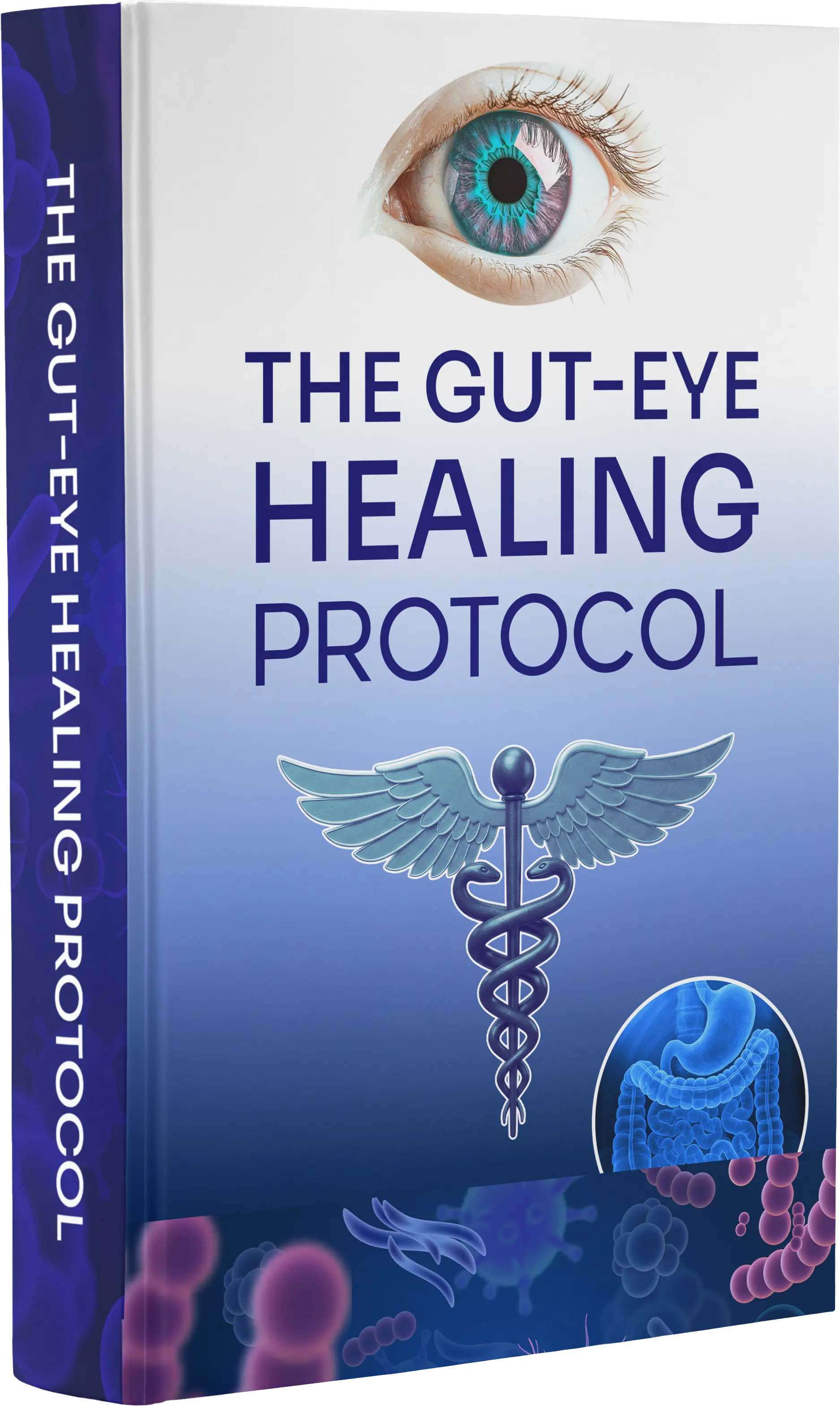 Gut‑Eye Healing Protocol